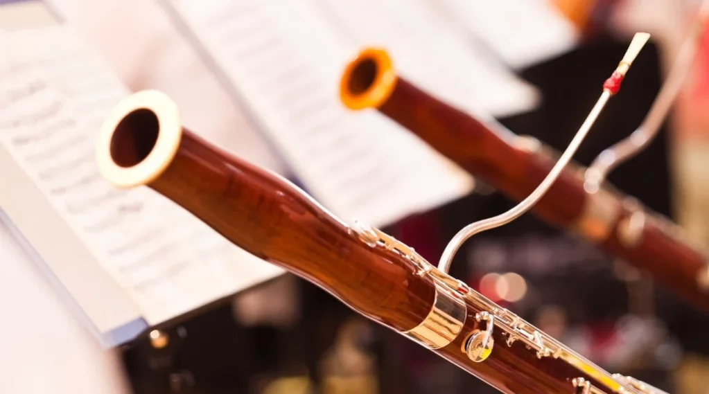 Fagot nedir? Musichool - Müzik eğitimi pazaryeri - müzik kursları - müzik eğitiimleri-2