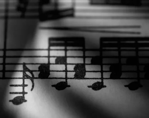 Müzik Teorisi Olmadan da İyi Müzisyen Olunur mu